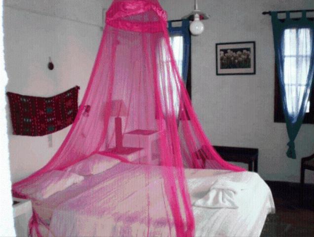 Bella Vista Hotell Sissi Rom bilde